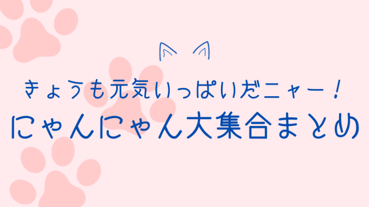 今日も元気だにゃー！